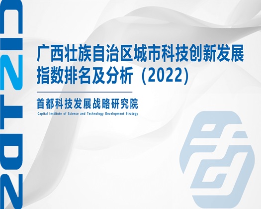 中国猛男草国外【成果发布】广西壮族自治区城市科技创新发展指数排名及分析（2022）